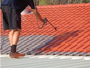 How to Choose a Roof Restoration Franchise
